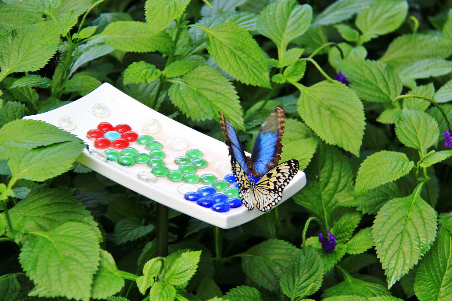 Niagara Falls Winter Wonderland Tour