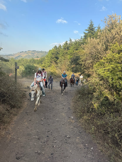 Pacaya Sunset Horseback Tour
