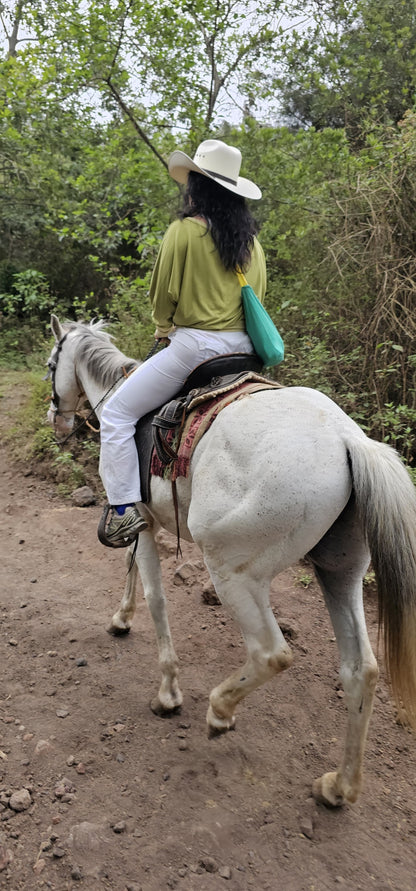 Pacaya Sunset Horseback Tour